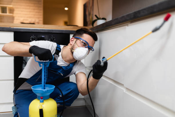Best Flea Control Services  in Lawndale, CA