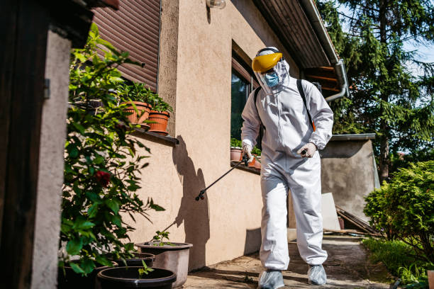 Professional Pest Control in Lawndale, CA
