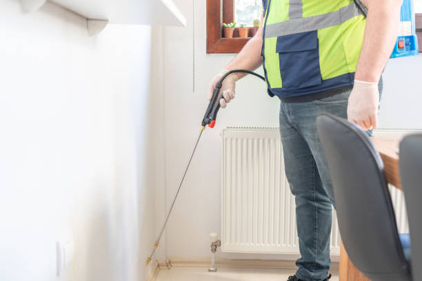 Best Pest Control Near Me in Lawndale, CA