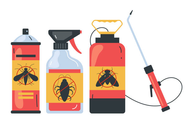 Best Insect Control  in Lawndale, CA