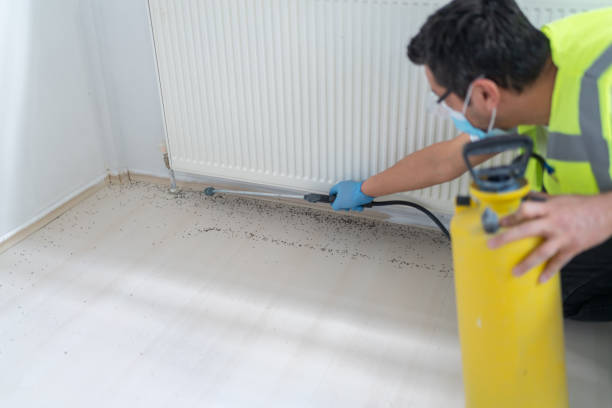Best Commercial Pest Control Services  in Lawndale, CA