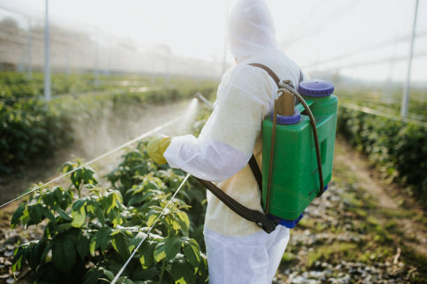 Best Mosquito Control Services  in Lawndale, CA